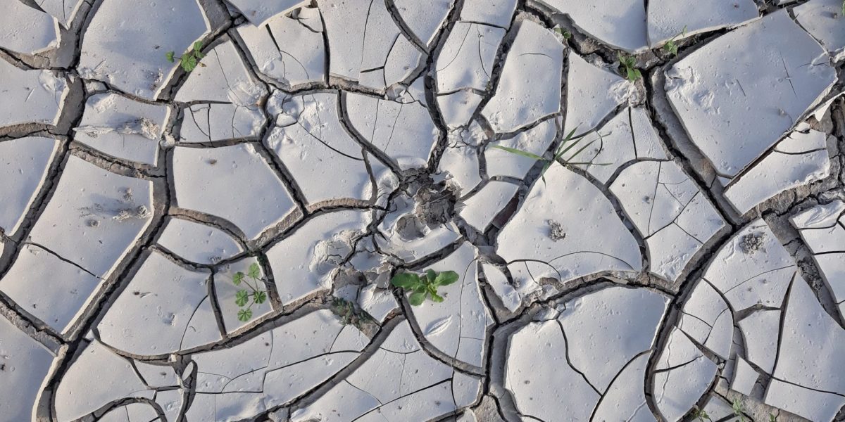 20191010_175809 copia